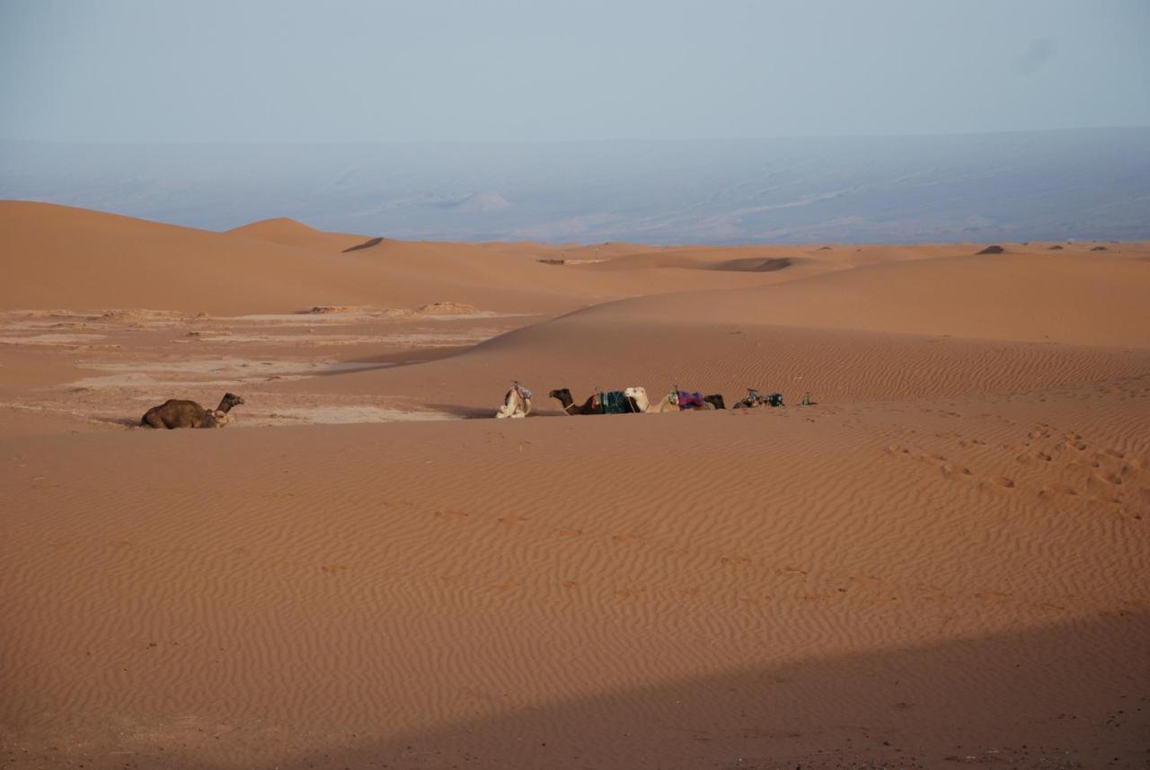 Kasbah Les Alizes Du Desert M'Hamid Exterior foto